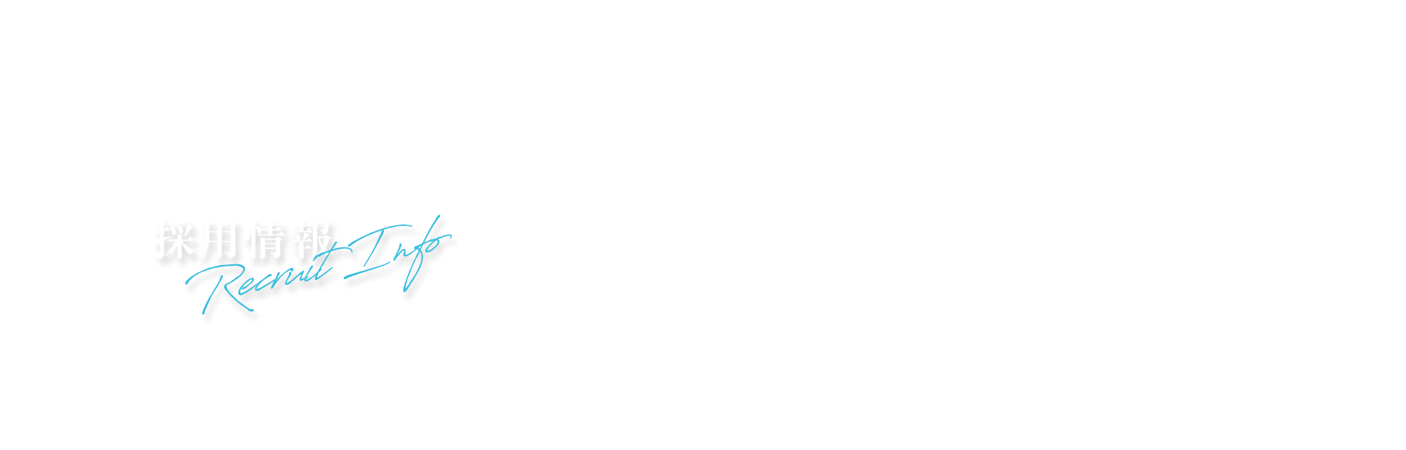採用情報